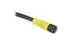 DC Micro Cordset Guardmaster 889D, M12 8pin socket » M12 8pin plug, 1.5A 30VAC/36VDC, -20..80°C, 2m PVC cable, IP65, NEMA4
